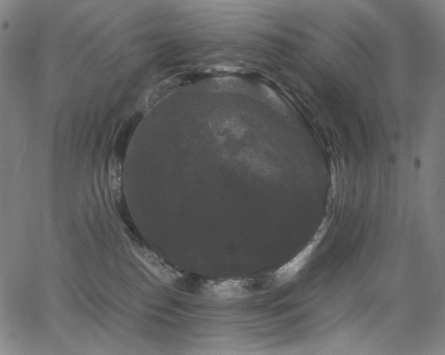 X0000062850186200601131359