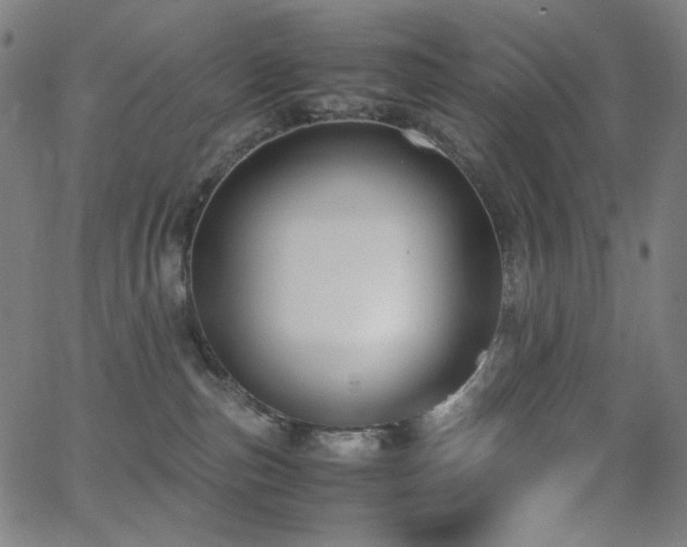 X0000062850187200601131359