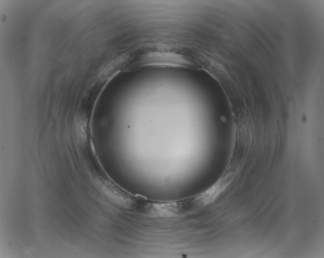 X0000062850188200601131359