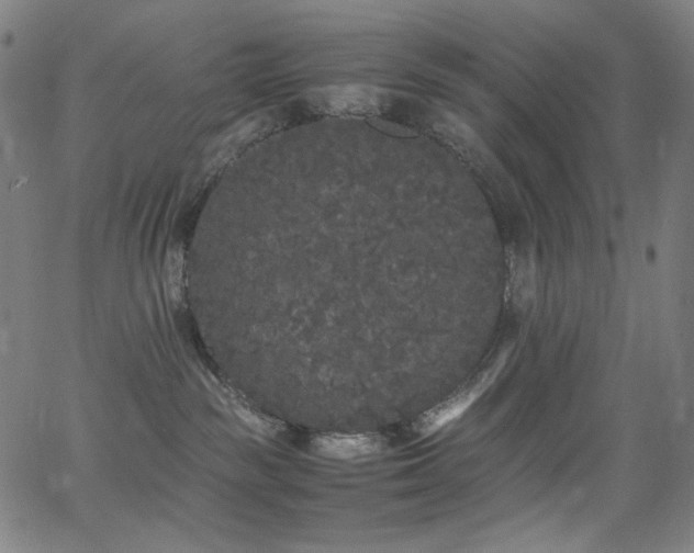 X0000062850189200601131359