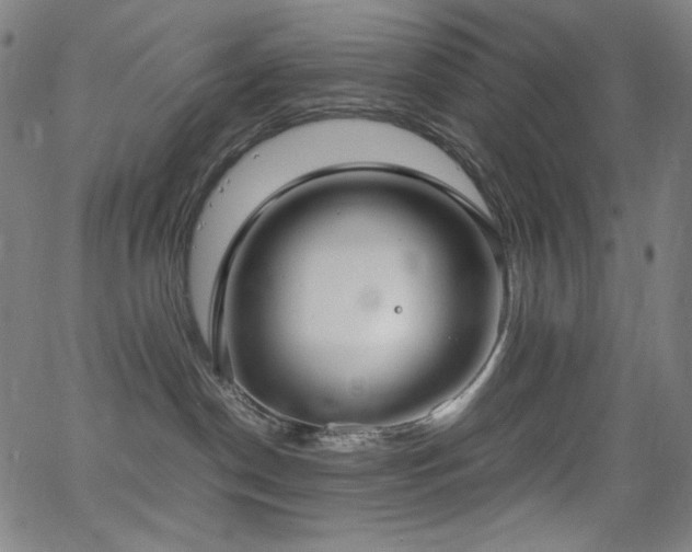 X0000062850190200601131359