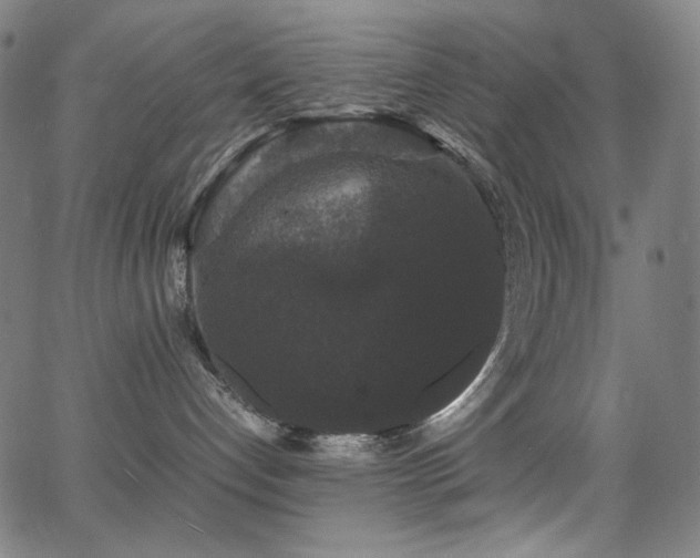 X0000062850192200601131359