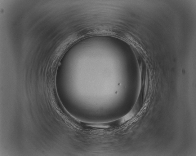 X0000062850193200601131358