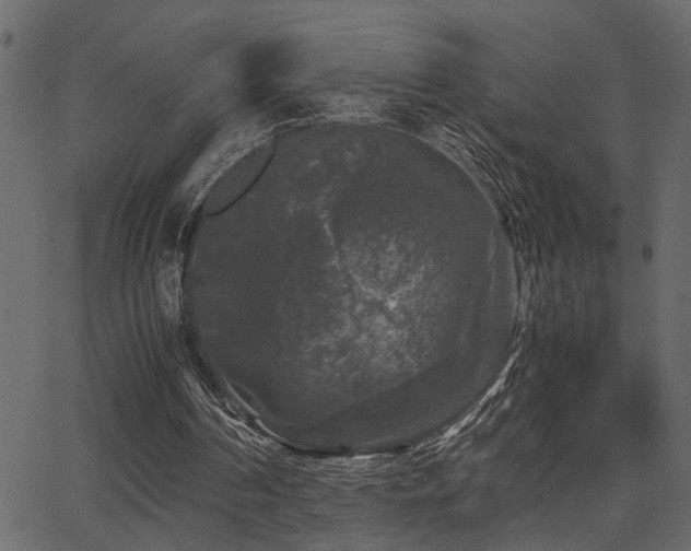 X0000062850194200601131358