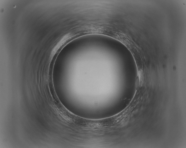 X0000062850195200601131358