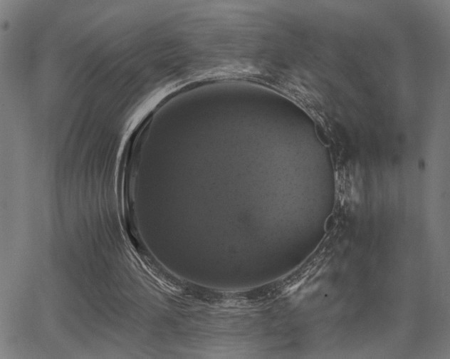 X0000062850196200601131358