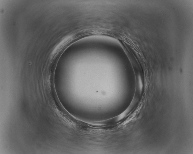 X0000062850197200601131358