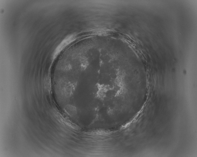 X0000062850198200601131358