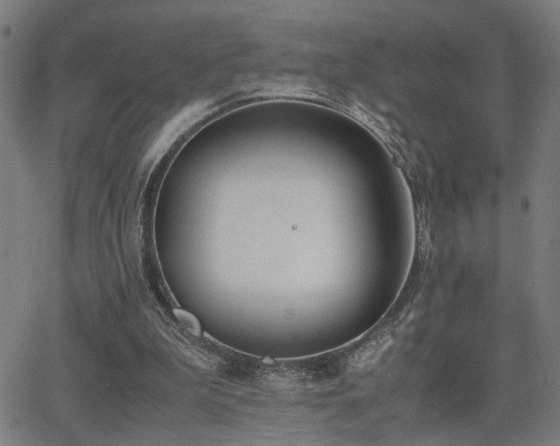 X0000062850199200601131358