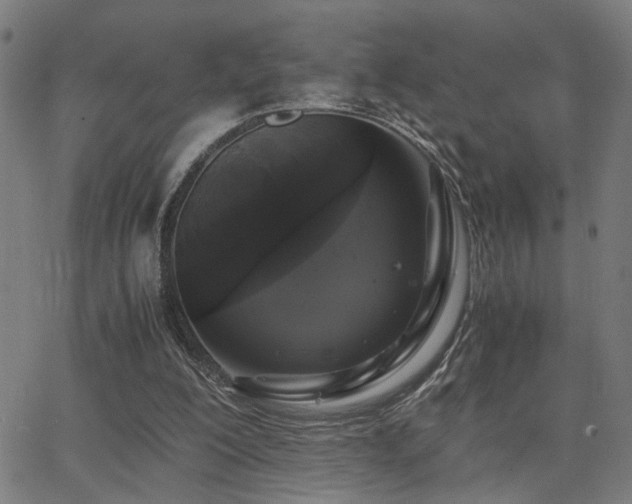 X0000062850200200601131358