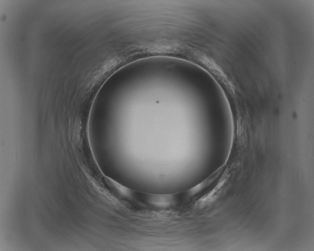 X0000062850201200601131358