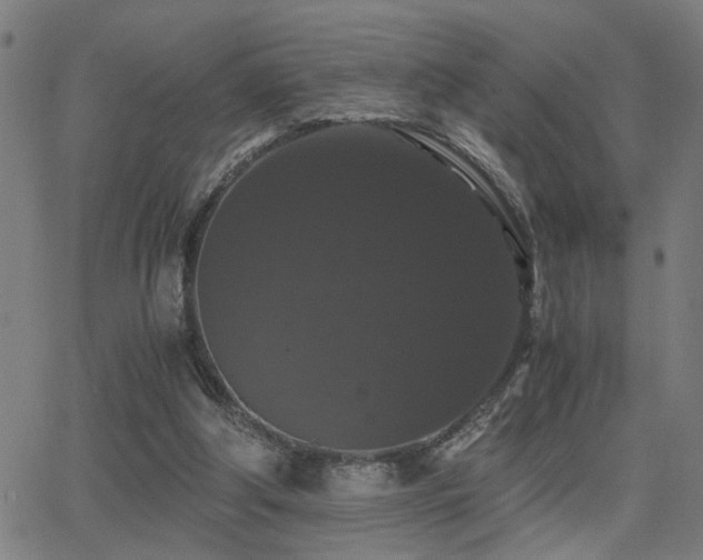 X0000062850202200601131358