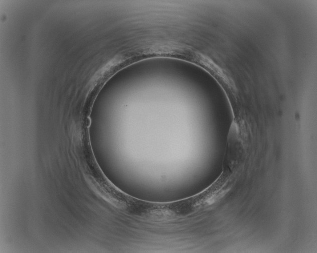 X0000062850203200601131358