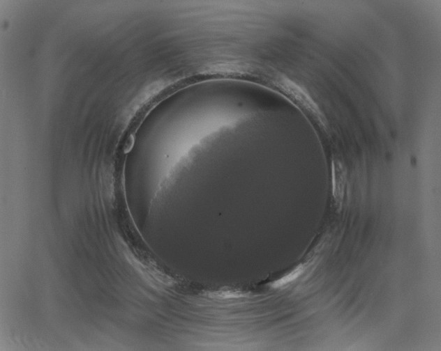 X0000062850204200601131358