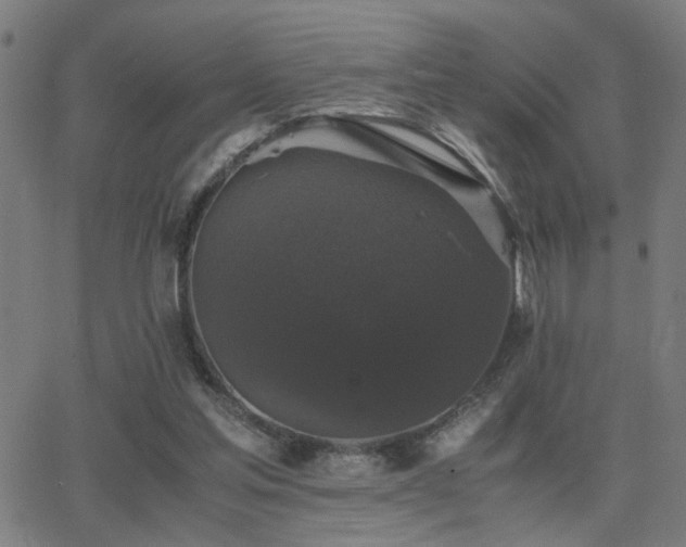 X0000062850205200601131358