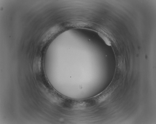 X0000062850206200601131358