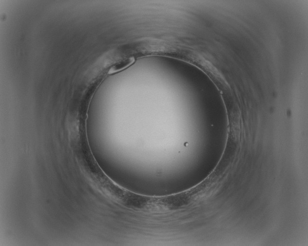 X0000062850207200601131358