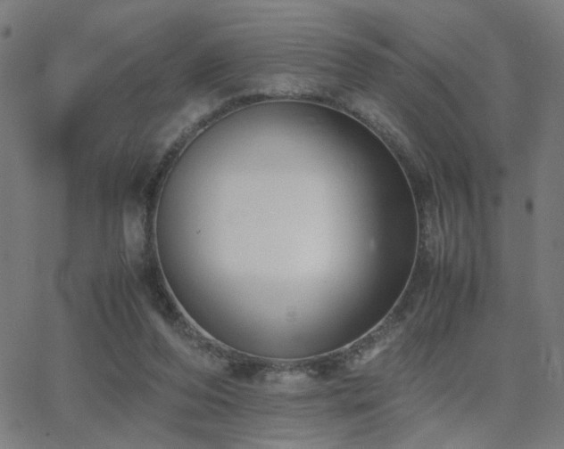 X0000062850208200601131358