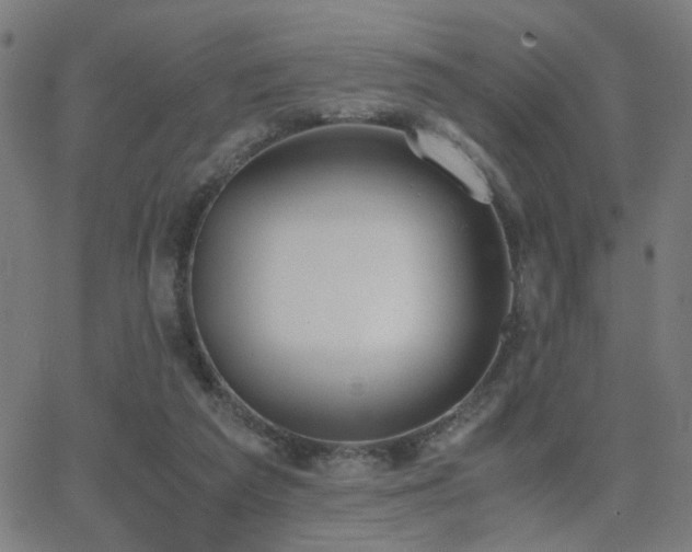 X0000062850209200601131358