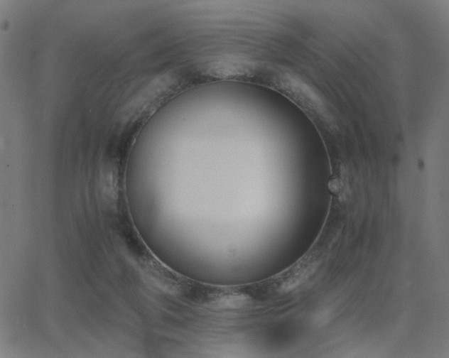 X0000062850210200601131358