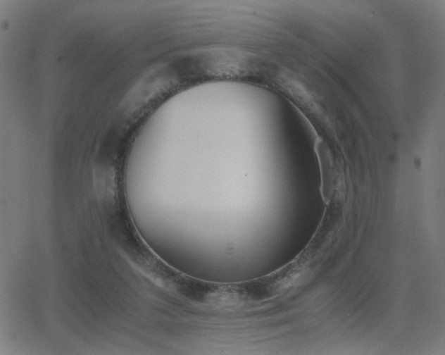 X0000062850211200601131358