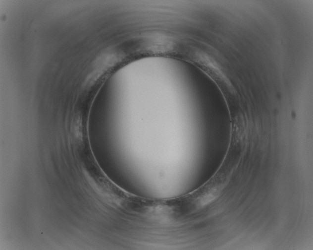 X0000062850212200601131358