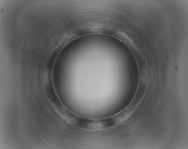 X0000062850213200601131358