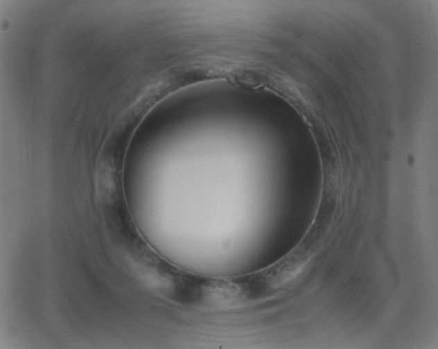 X0000062850215200601131358