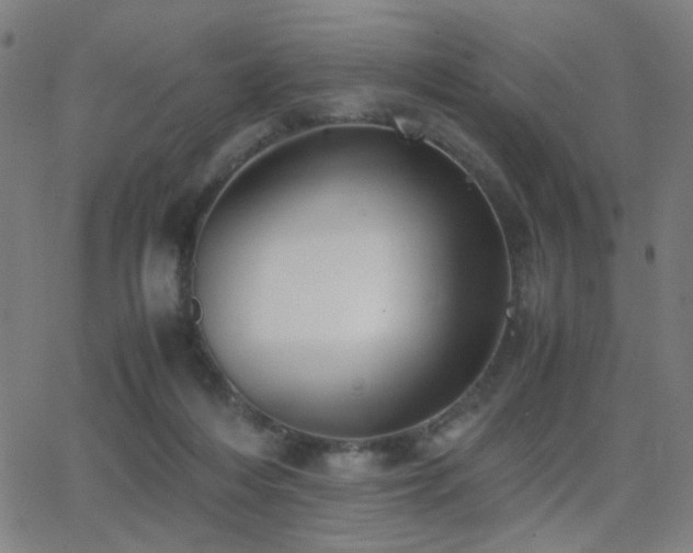 X0000062850216200601131358