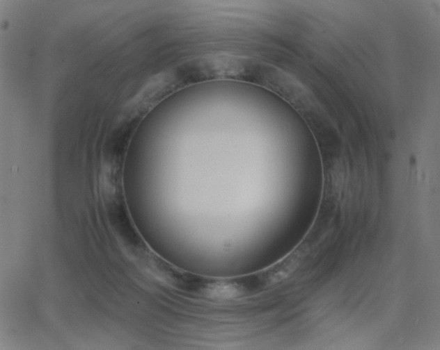 X0000062850218200601131358