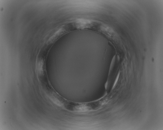 X0000062850219200601131358