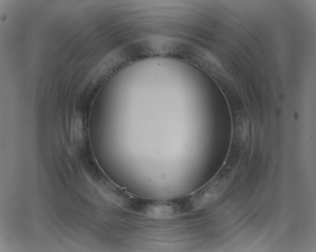 X0000062850220200601131358