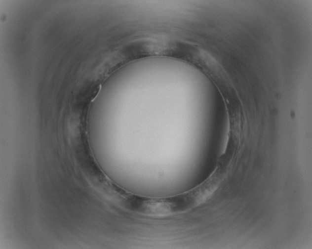 X0000062850221200601131358