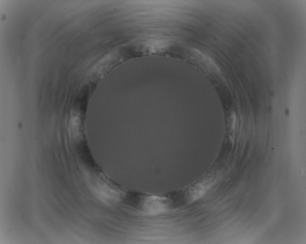 X0000062850222200601131358