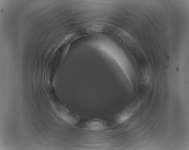 X0000062850224200601131358