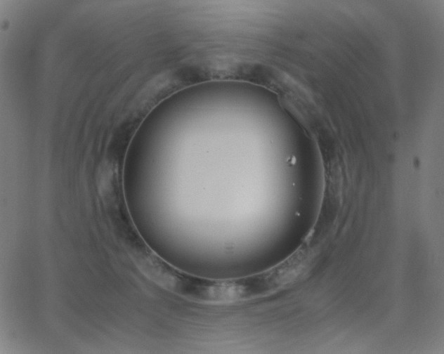 X0000062850225200601131358