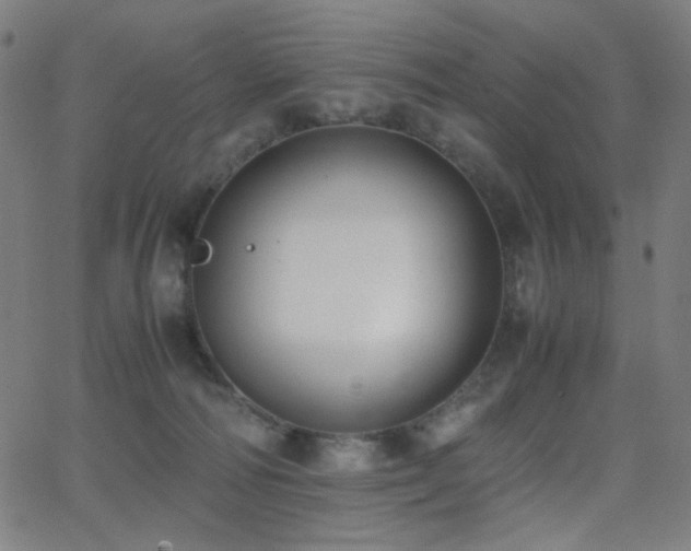 X0000062850226200601131358