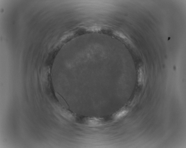 X0000062850229200601131358