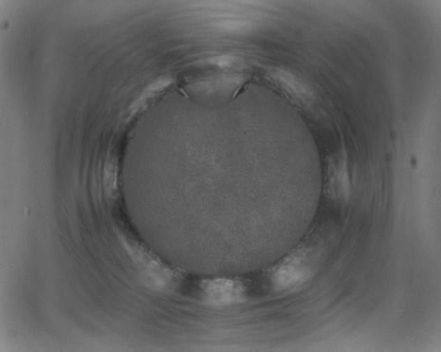 X0000062850230200601131358