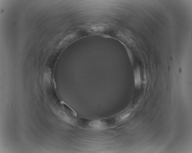 X0000062850231200601131358