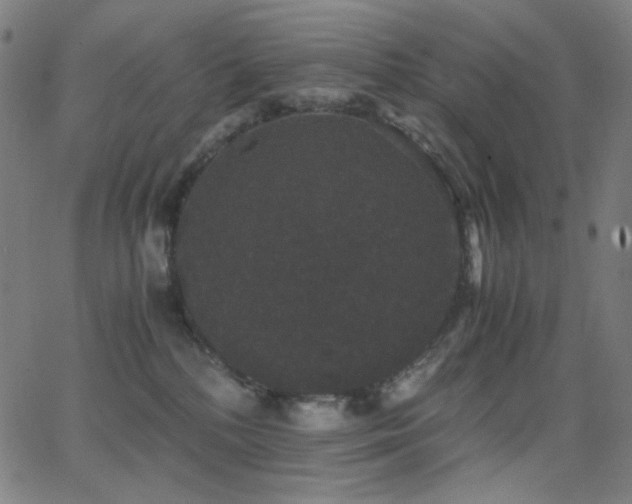 X0000062850232200601131358