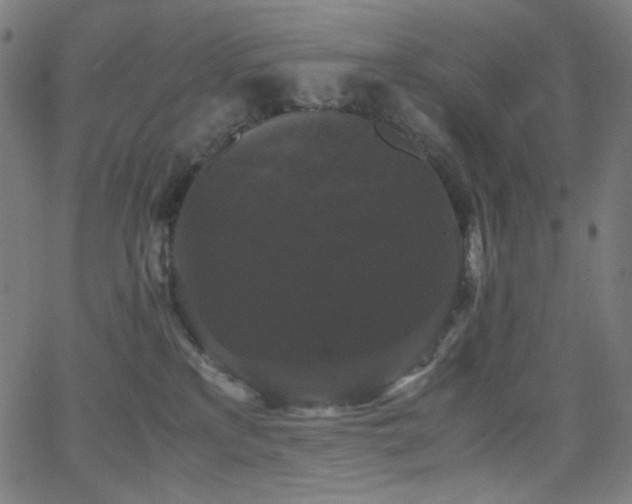 X0000062850233200601131358