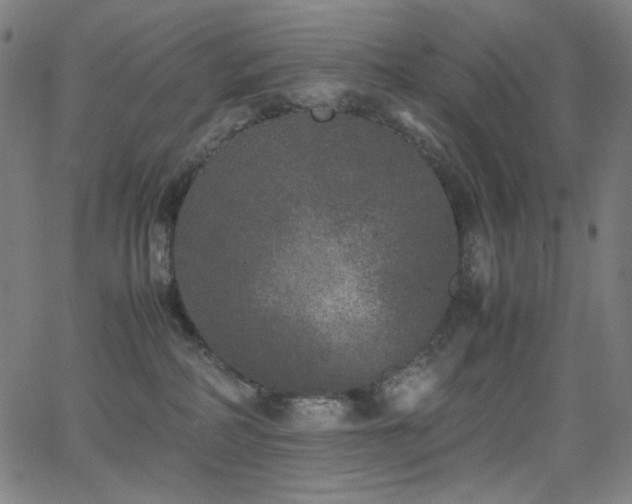 X0000062850234200601131358