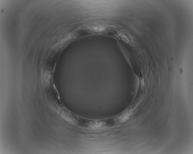 X0000062850235200601131358