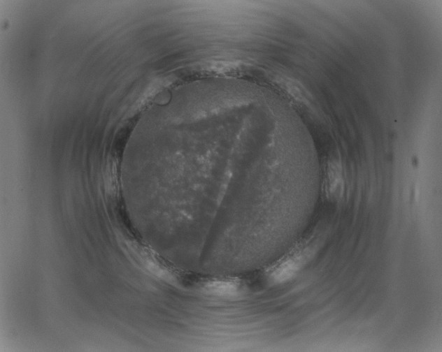 X0000062850236200601131358