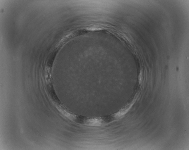 X0000062850237200601131358