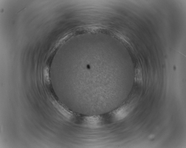 X0000062850238200601131358