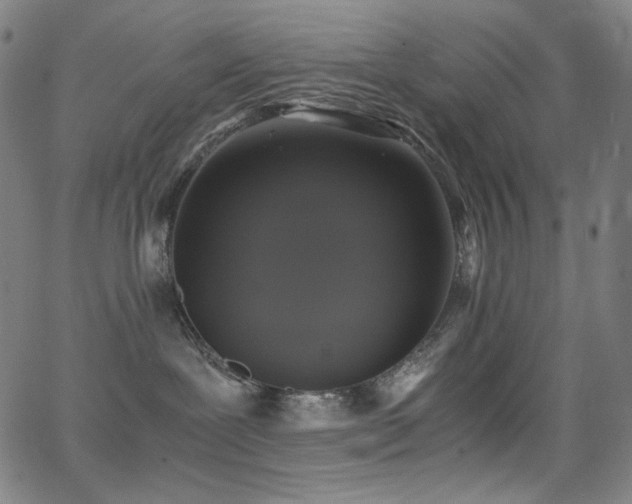 X0000062850239200601131358