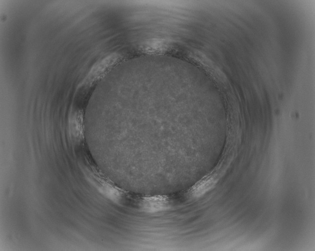 X0000062850240200601131358