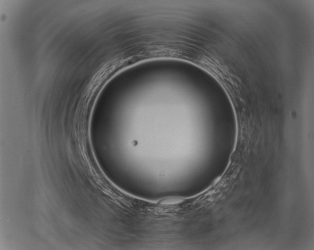 X0000062850241200601131357